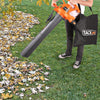 TACKLIFE Leaf Vacuum, 12 Amp 3-in-1 High Performance, Variable Speed Up to 240 MPH Blower GBV01A, Gray/Orange